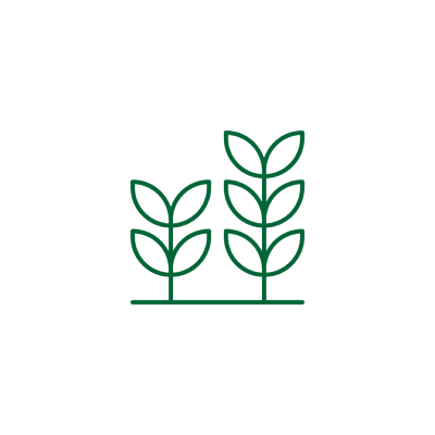 Crop Icon