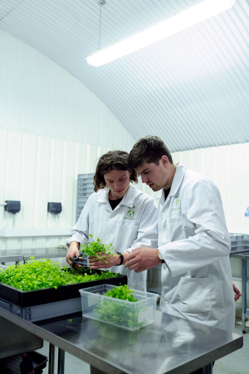 Research Lab