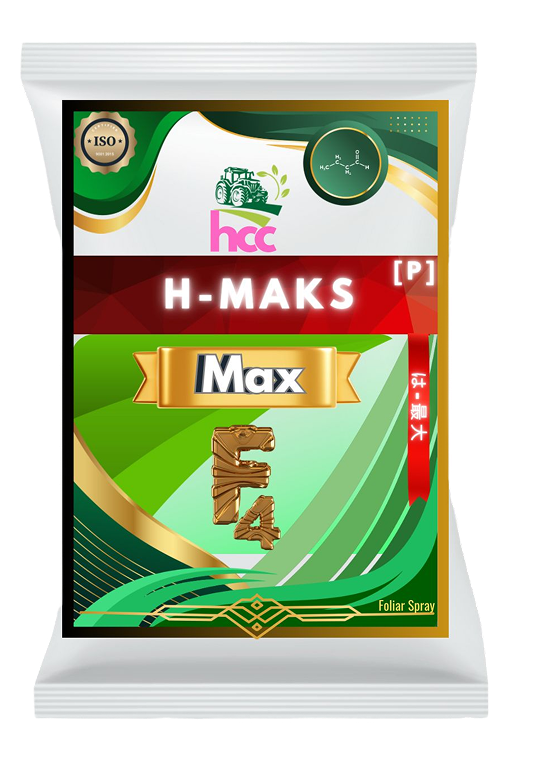 H-Maks(P)