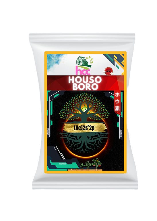Houso Boro(P)