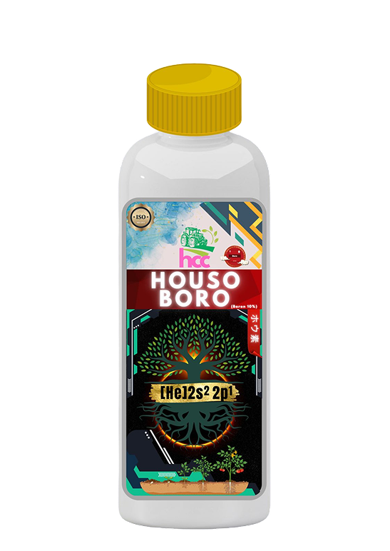 Houso Boro