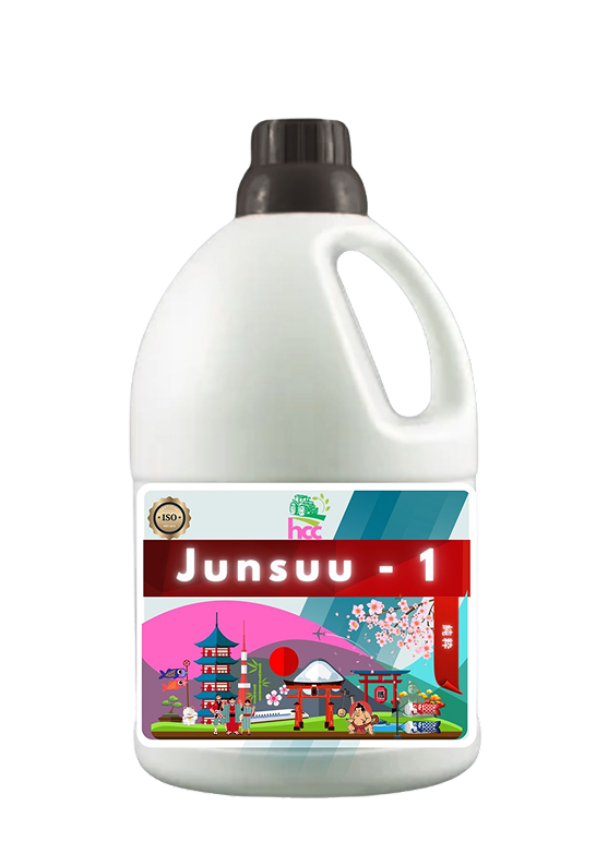 Junsuu - 1