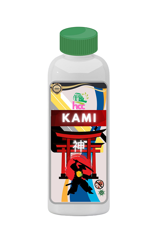 Kami