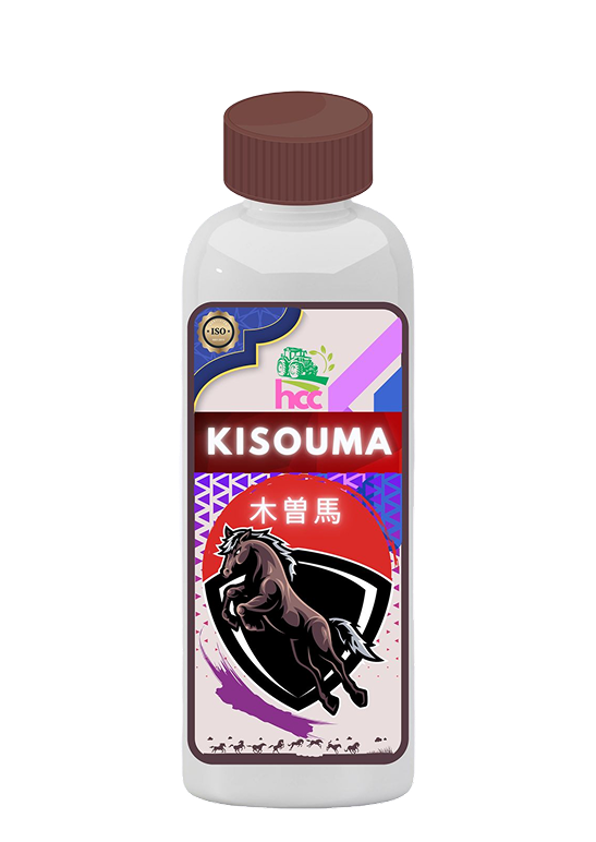 Kisouma