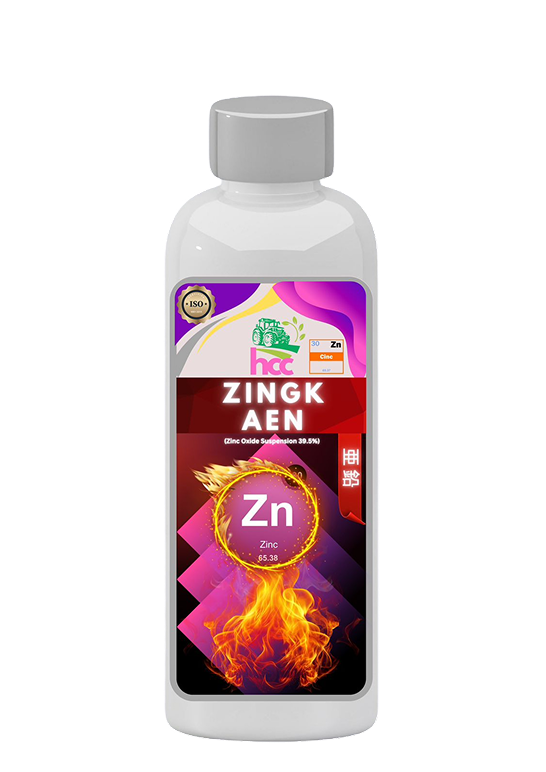 Zingk Aen
